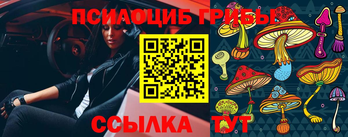 Галлюциногенные грибы Cubensis  цена наркотик  Свободный  Вход с VPN 